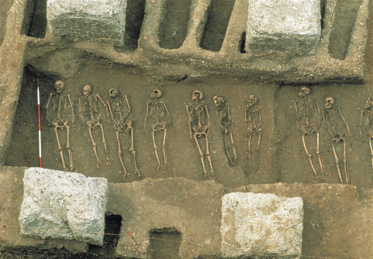 <i>Museum of London Archaeology (MOLA)</i><br/>A plague burial pit in East Smithfield