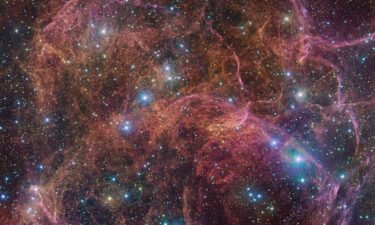 These orange and pink gas clouds make up the Vela supernova remnant