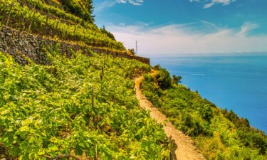 Liguria is a land of steep cliffs and mountains which are terraced to grow food and wine.