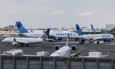 Newark airport authorities removed on Monday a snake from a United Airlines plane. Pictured is Newark Liberty International Airport on July 1