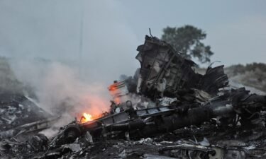 Two Russians and one Ukrainian separatist have been found guilty in the downing of Malaysia Airlines Flight 17. Pictured is the plane's wreckage in eastern Ukraine on July 17