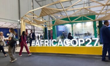 This year's climate conference was widely billed as "Africa COP."