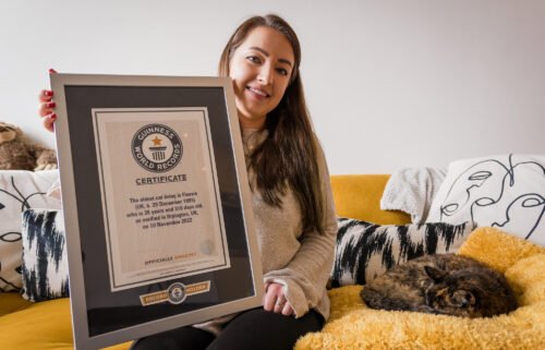 "I didn't imagine I'd share my home with a world record holder