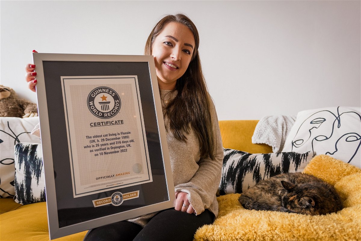 <i>Cats Protection/Guinness World Records</i><br/>