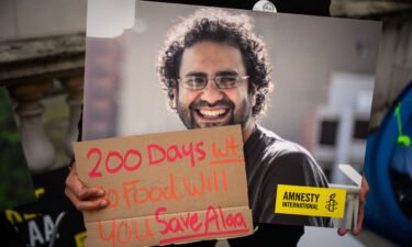 A supporter holds a poster of Alaa Abd El-Fattah during a protest in London in October calling for his release.