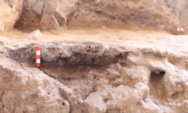 A Neanderthal hearth was unearthed at Shanidar Cave