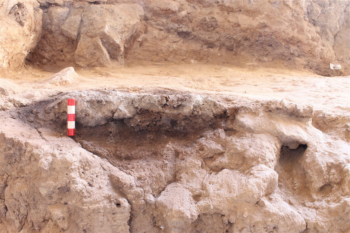 <i>Graeme Barker</i><br/>A Neanderthal hearth was unearthed at Shanidar Cave