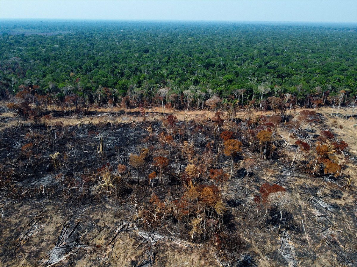 <i>Michael Dantas/AFP/Getty Images</i><br/>A deforested and burnt area of the Amazon rainforest in September.