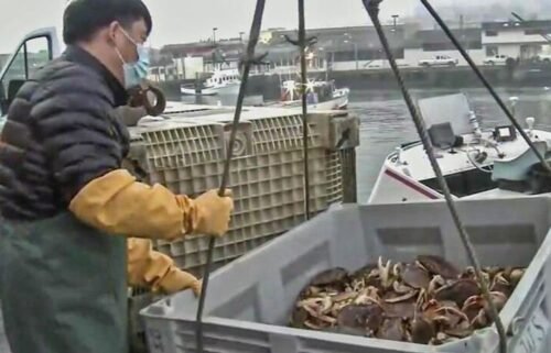 State officials announced that the opening of commercial Dungeness crab season would be delayed for the third time this season