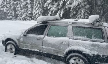 A man got stuck in the snow after driving his station wagon into the Tillamook State Forest.