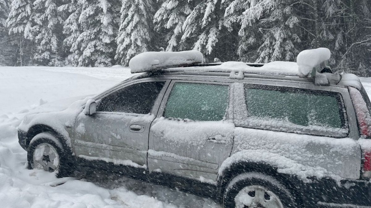 <i>KPTV/Tillamook County Sheriff's Office</i><br/>A man got stuck in the snow after driving his station wagon into the Tillamook State Forest.