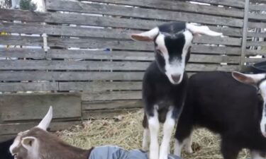 Kinder Way Farm Sanctuary in Vermont is recovering from a violent storm that damaged farm property.