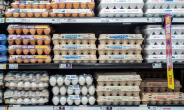 Eggs have gotten much more expensive this year.