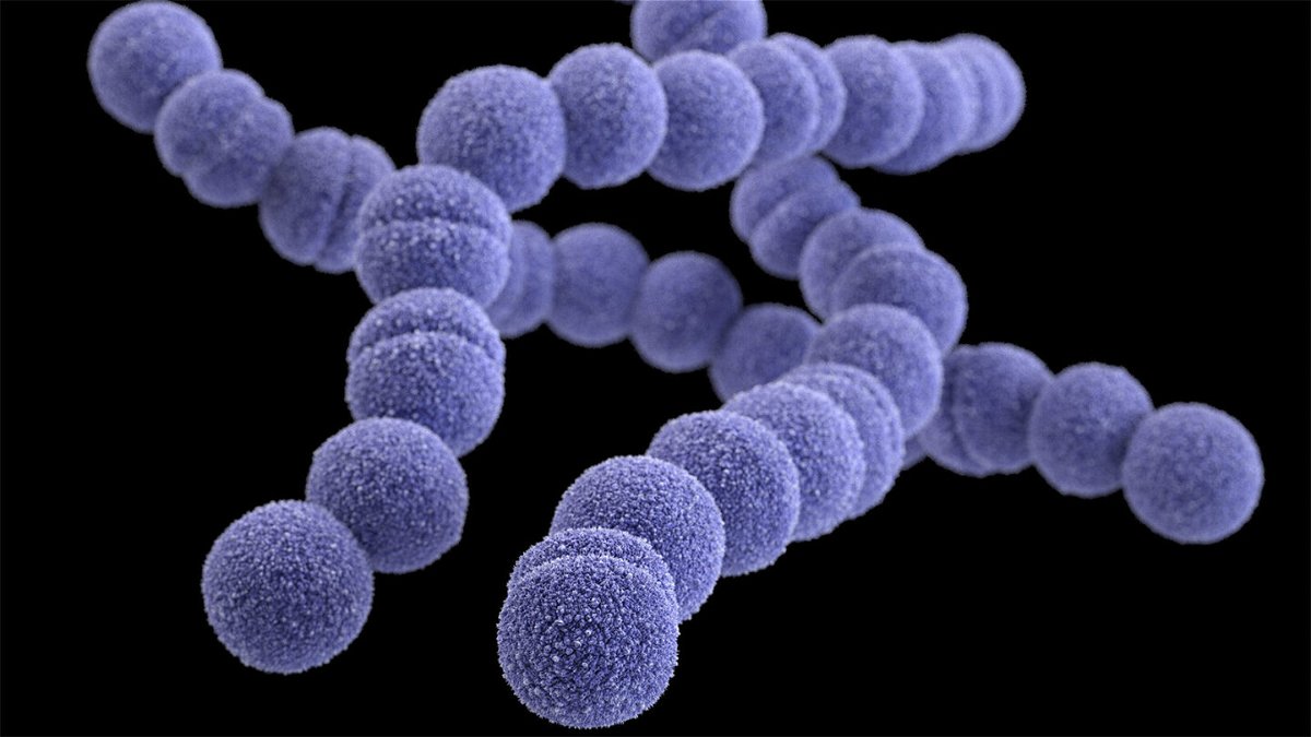 <i>CDC</i><br/>Group A Streptococcus infections are rising in the UK