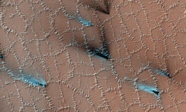 Ice frozen in the soil left polygon patterns on the Martian surface.