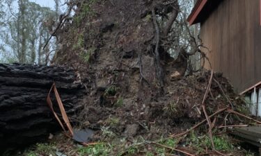 This image shows damaged a downed tree in the El Granada area of the San Mateo County.