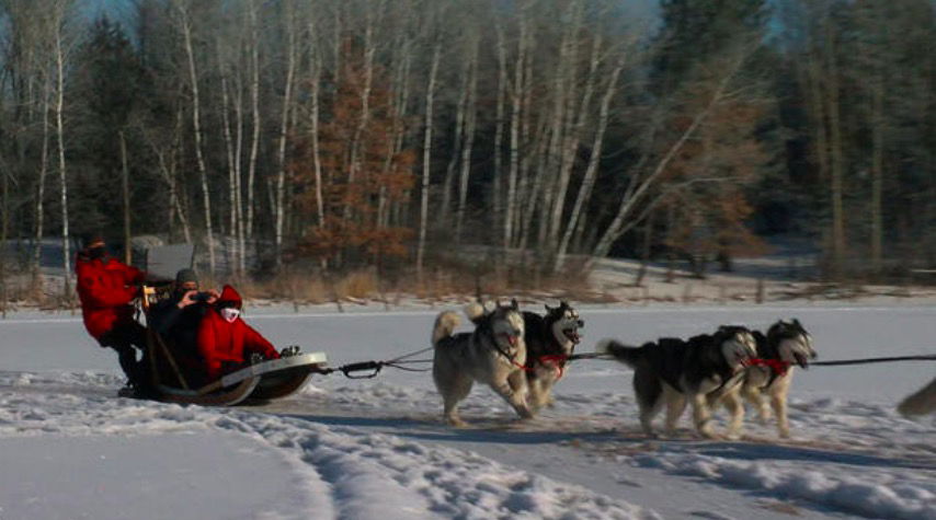 <i>WCCO</i><br/>Even in the ice and cold there's a team near Monticello that's always ready to work their tails off. Silent Run Adventures is a dog sledding team that got off to a unique start.