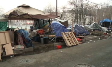 Harrisburg Mayor Wanda Williams and other city leaders held another news conference Friday morning about the homeless encampment under the Mulberry Street Bridge.