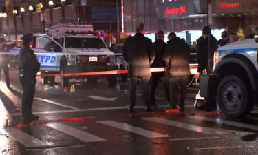 The 19-year-old accused of attacking New York Police Department officers with a machete on New Year's Eve was indicted on January 6 on more than a dozen charges