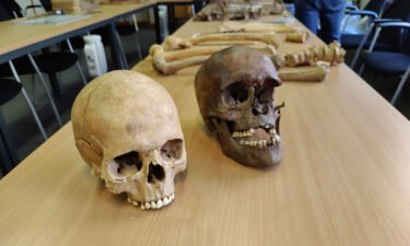 Two skulls were among the human remains discovered in the Belgian attic. They displayed signs of extreme violence.