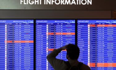 A traveler looks at a flight information board at Ronald Reagan Washington National Airport on January 11 in Arlington