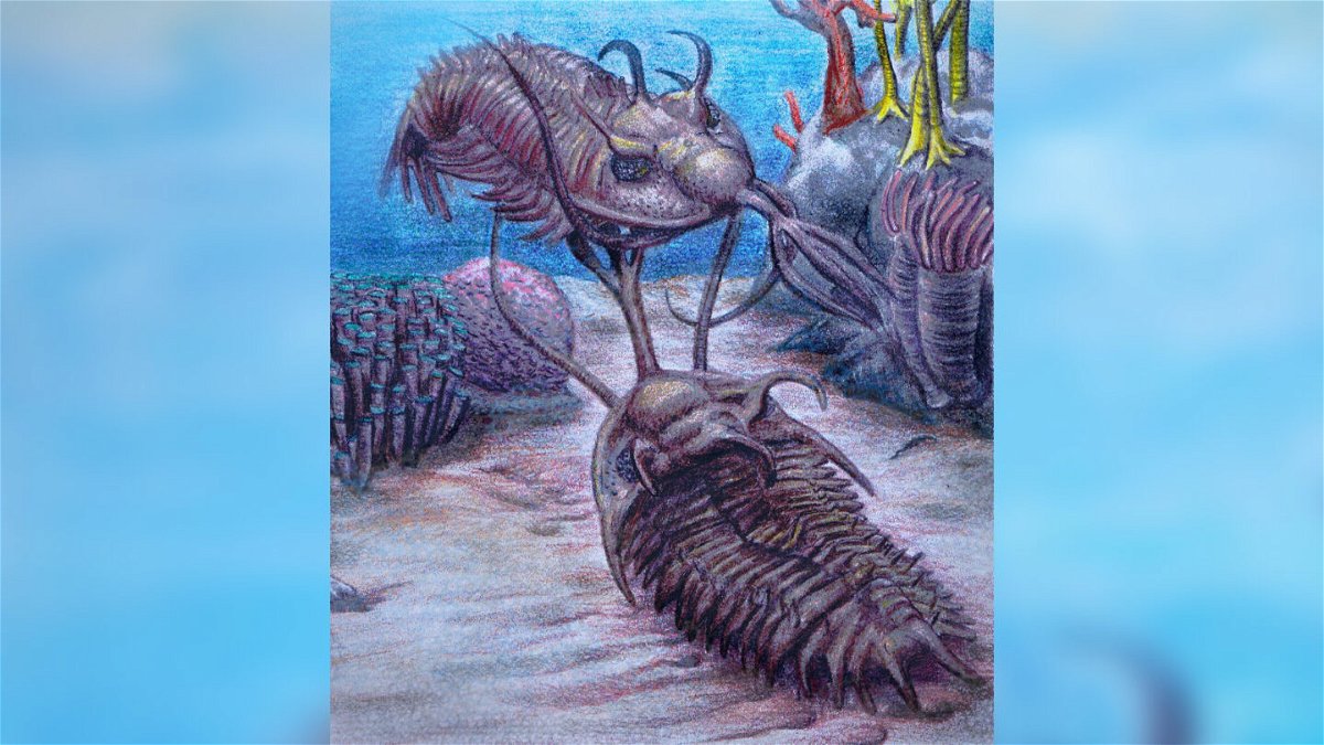 <i>Madison Mullen</i><br/>The purpose of the trident branching off trilobites' heads has long intrigued researchers.