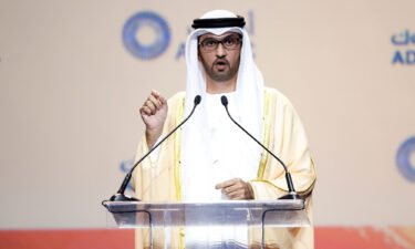 Climate activists have said the appointment of Al Jaber