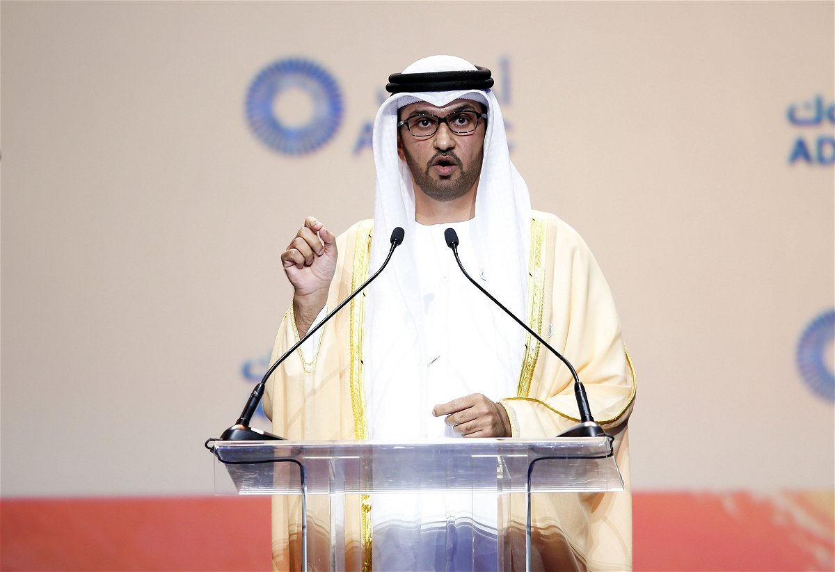 <i>Ali Haider/EPA-EFE/Shutterstock</i><br/>Climate activists have said the appointment of Al Jaber