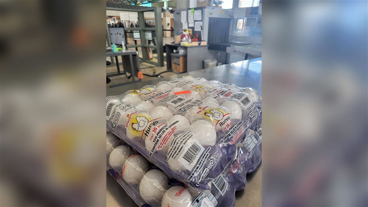 <i>Customs and Border Protection</i><br/>An image from Customs and Border Protection shows eggs that a traveler attempted to bring into the United States on January 18 at the Paso Del Norte internal crossing in El Paso