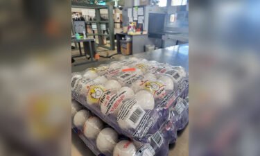 An image from Customs and Border Protection shows eggs that a traveler attempted to bring into the United States on January 18 at the Paso Del Norte internal crossing in El Paso