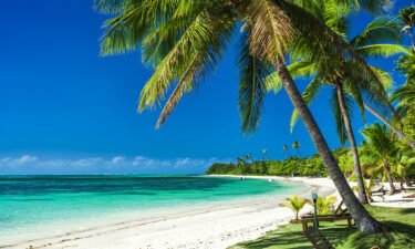 Palm trees on a white sandy beach at Plantation Island