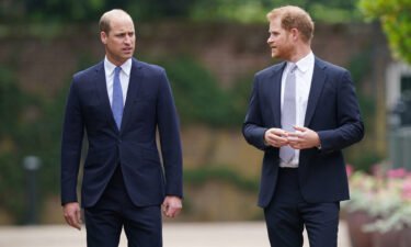 Prince William and Prince Harry arrive for the unveiling of a statue they commissioned of their mother Diana at Kensington Palace in London