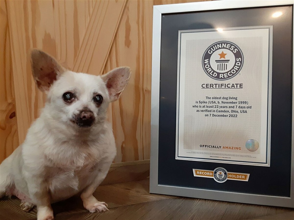 <i>From Guinness World Records</i><br/>Spike has been officially the world's oldest dog since December 7