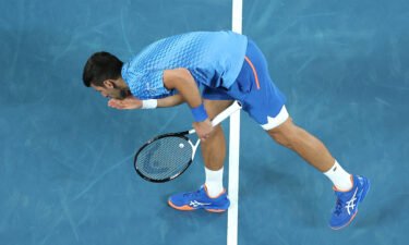 Novak Djokovic celebrates after beating Alex de Minaur to reach the quarterfinals.
