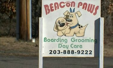 A Beacon Paws kennel operator is again facing charges for animal cruelty. George Meder was re-arrested on March 20th.