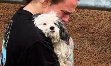 Trixie the dog has been reunited with its owner after falling 12 feet down a storm drain.