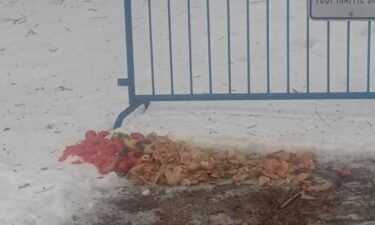 A compost caper has been dumping fruits and vegetables across Bath