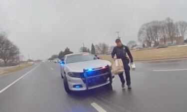 A single mother is praising Sterling Heights police for going above and beyond when responding to a crash.