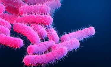 The US Centers for Disease Control and Prevention has issued a health advisory to warn the public of an increase of a drug-resistant bacteria called Shigella.