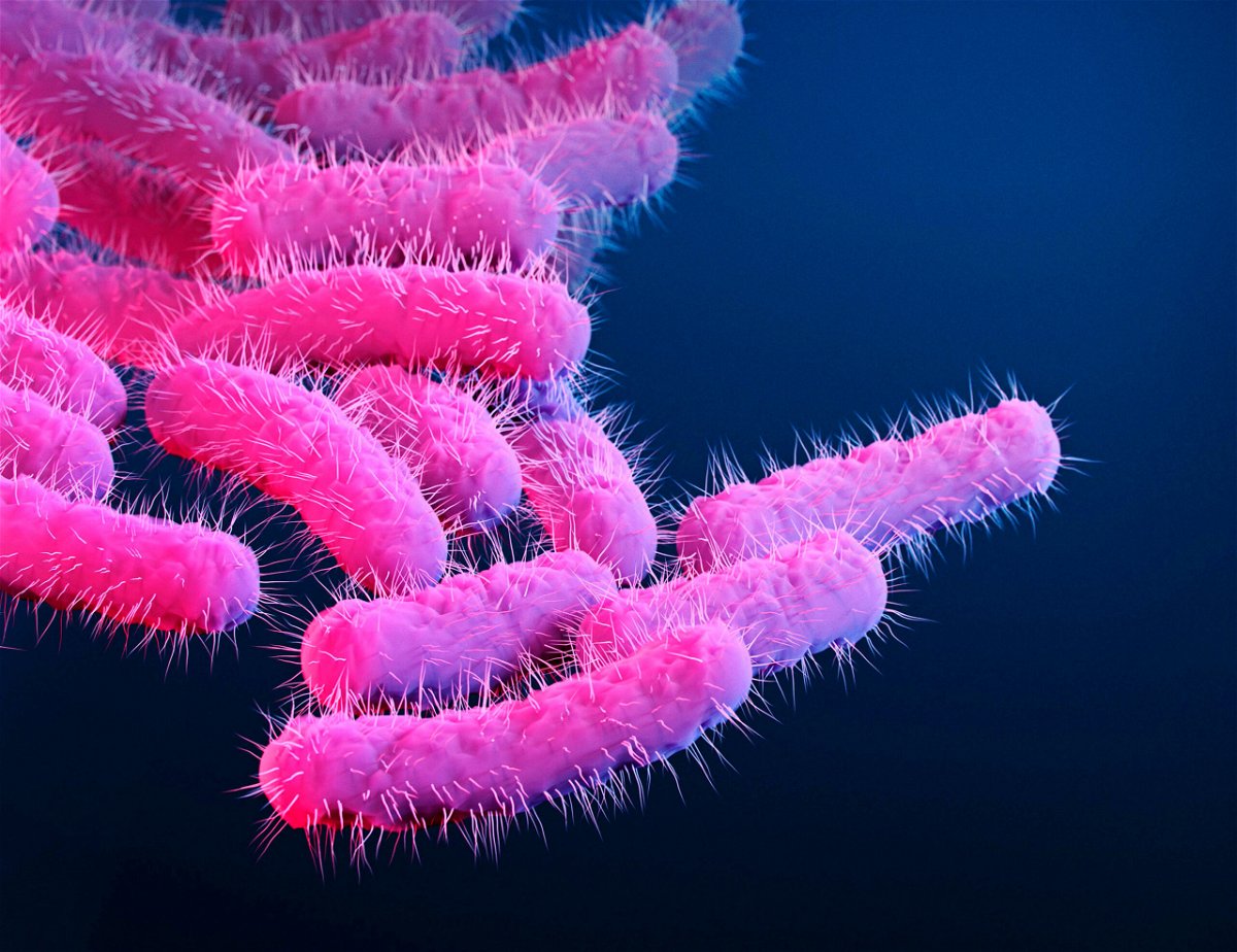 <i>Stephanie Rossow/Science Photo Library RF/Getty Images</i><br/>The US Centers for Disease Control and Prevention has issued a health advisory to warn the public of an increase of a drug-resistant bacteria called Shigella.