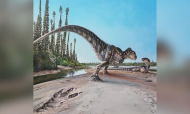 This illustration shows a Megalosaurus