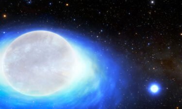 This artist's impression of a rare binary star system discovered in the Milky Way is seen here. The secondary Be-type star (left) has swelled in size due to material released by the primary star (right).
