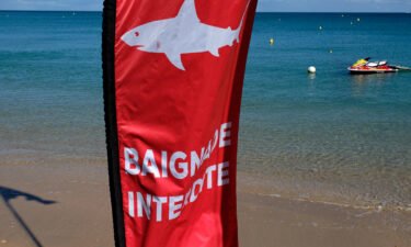 A tourist has died after being attacked by a shark in waters off New Caledonia in the South Pacific on Sunday. Pictured is a flag reading "swimming ban" on the beach of la Baie-des-Citrons