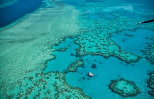 The Great Barrier Reef in Queensland has suffered several mass bleaching events due to the impacts of climate change.