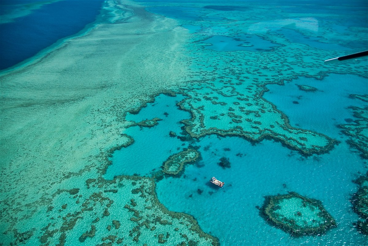 <i>Gagliardi Giovanni/REDA&CO/Universal Images Group/Getty Images</i><br/>The Great Barrier Reef in Queensland has suffered several mass bleaching events due to the impacts of climate change.