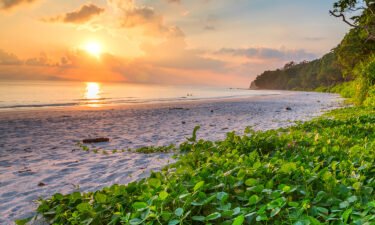 Lush vegetarion borders Radhanagar Beach on Havelock Island in India. It's No. 7 on this year's global list.