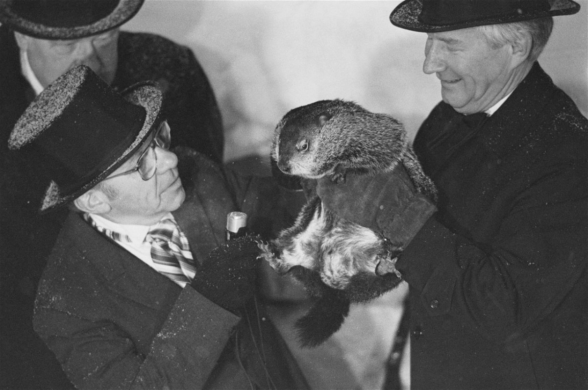 <i>Bettmann Archive/Getty Images</i><br/>The bizarre history of Groundhog Day or