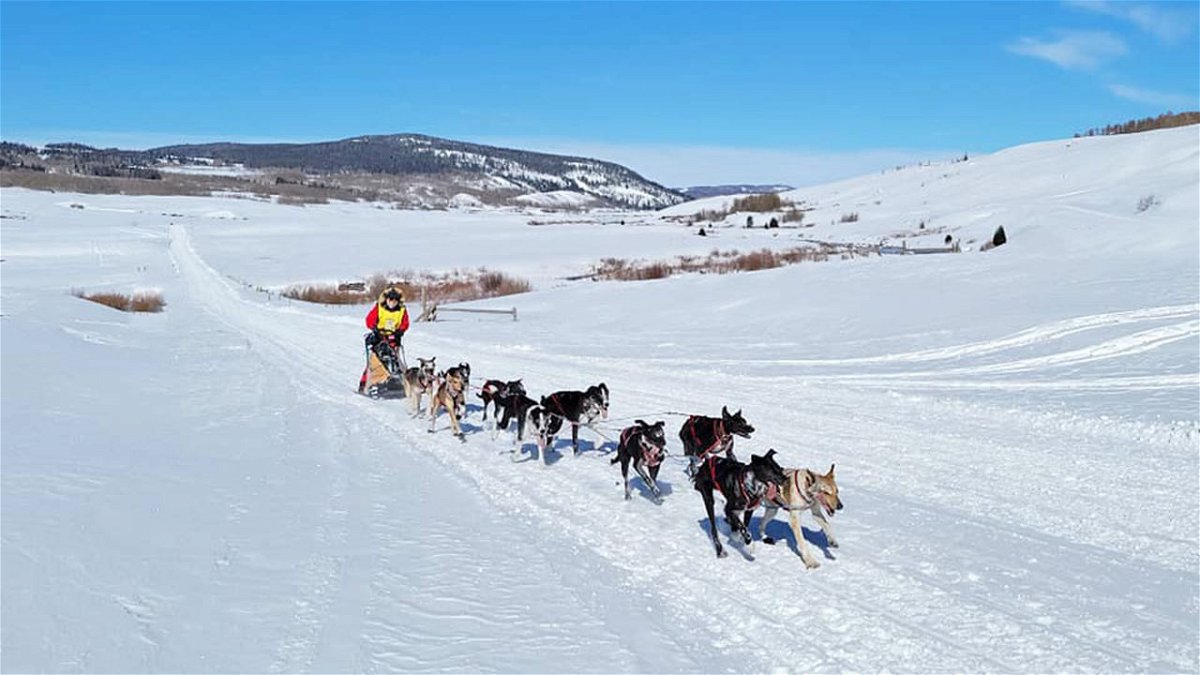 Alix Crittenden wearing the Yellow Bib. Pedigree Stage Stop Sled Dog Race - Stage Five in Pinedale, Wyoming February 2, 2023
