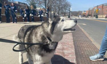 Jonathan the Husky is praying for a flight to Houston for the Final Four. The handlers for the University of Connecticut’s live mascot said he simply won’t fit on a plane.