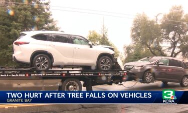 A tree fell down in Granite Bay and struck two vehicles on Sunday afternoon